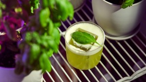 Basil-garnished signature cocktail among fresh herbs at Vesu Pizza Bar in Tsim Sha Tsui, Hong Kong.